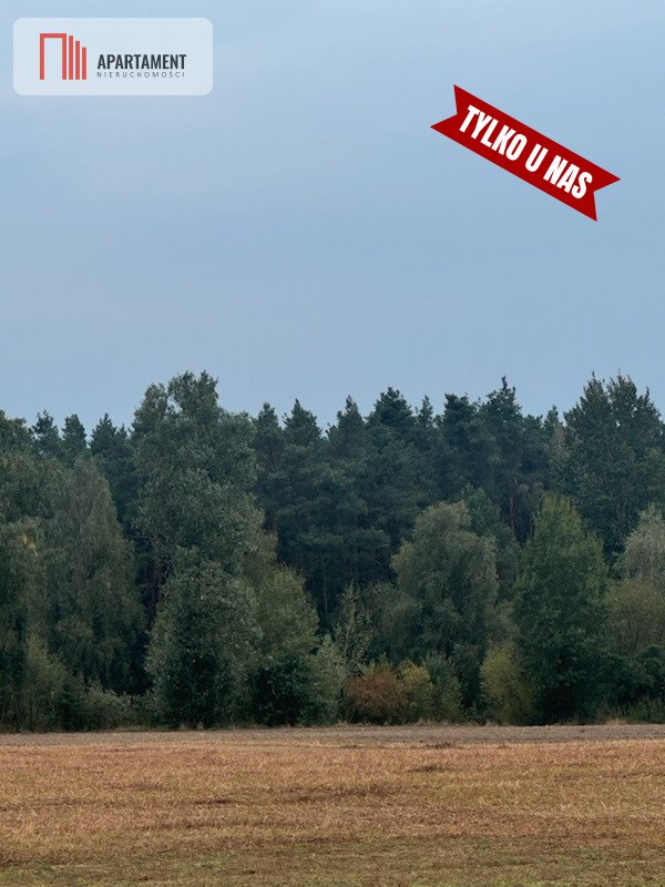 Działka budowlana na sprzedaż Boruchowo  919m2 Foto 9