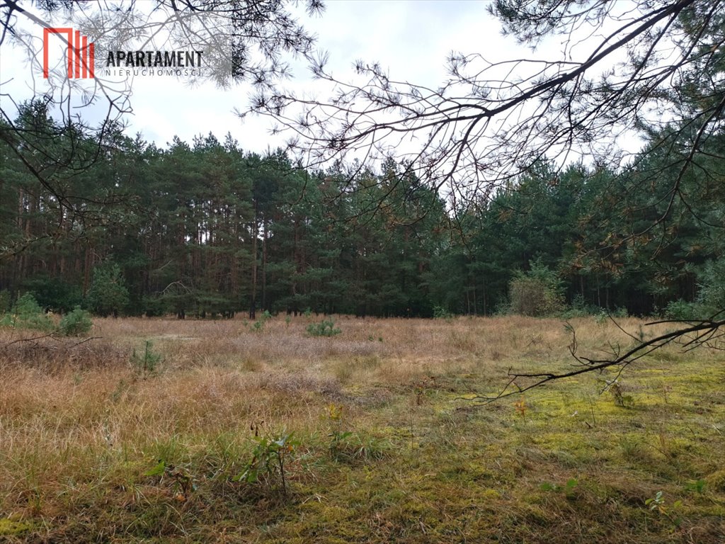 Działka rekreacyjna na sprzedaż Sulnówko  7 380m2 Foto 10