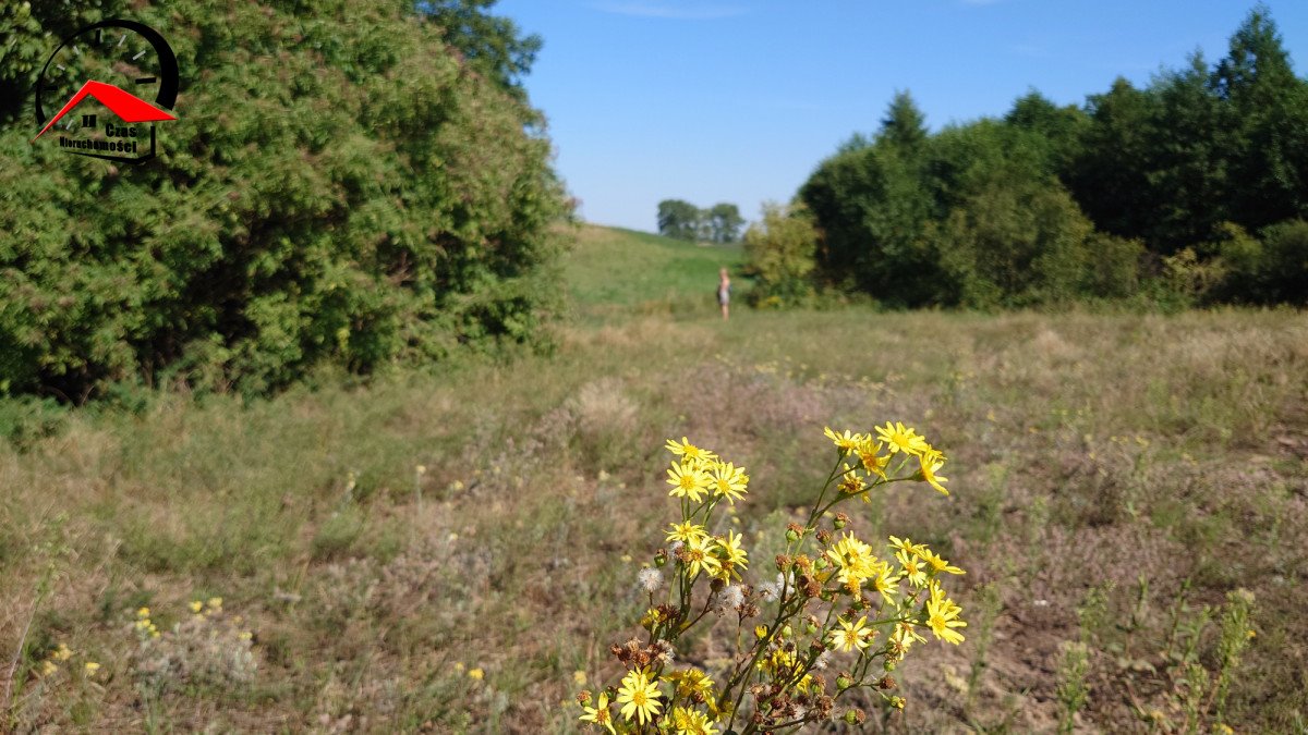 Działka gospodarstwo rolne na sprzedaż Góraj  15 062m2 Foto 3