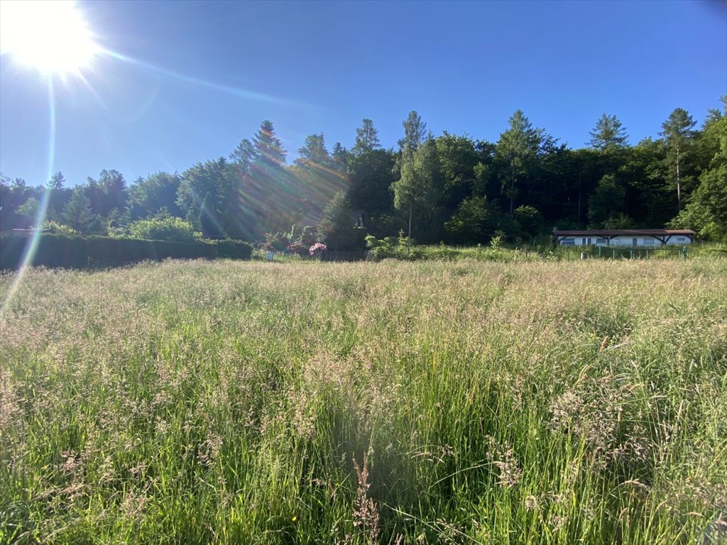 Działka budowlana na sprzedaż Ustroń, Lipowska  1 010m2 Foto 15