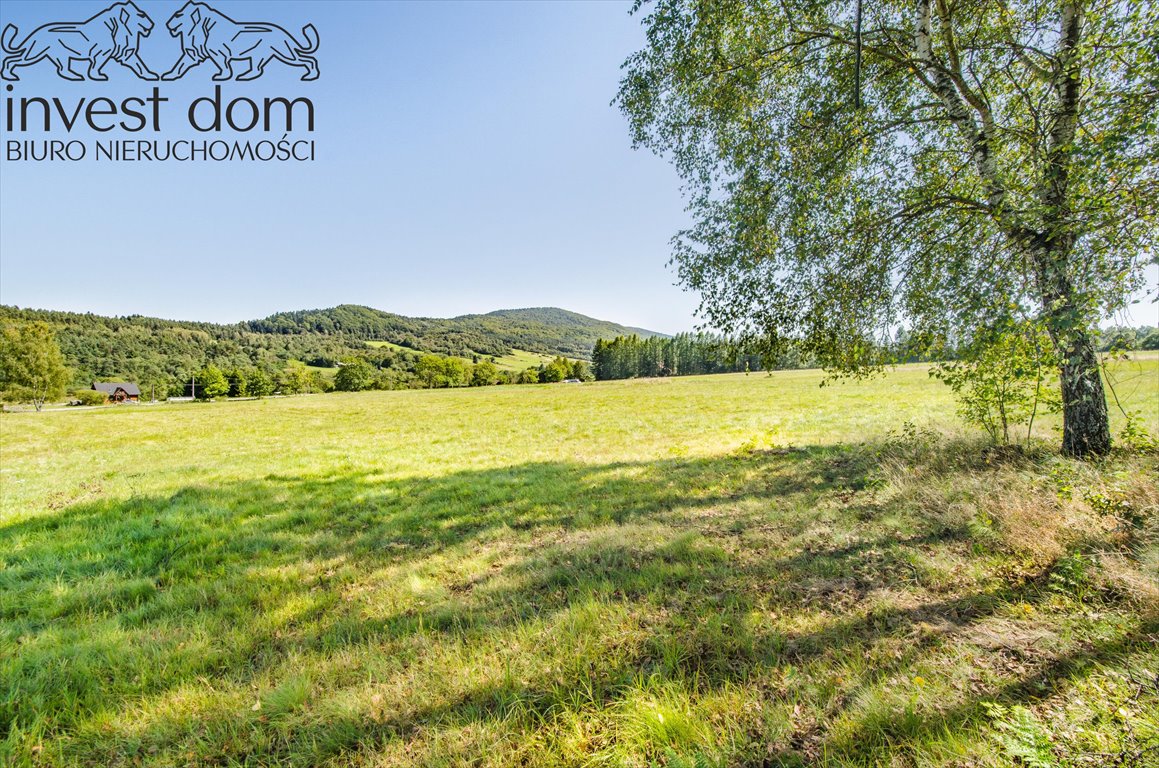 Działka budowlana na sprzedaż Hańczowa  3 893m2 Foto 1