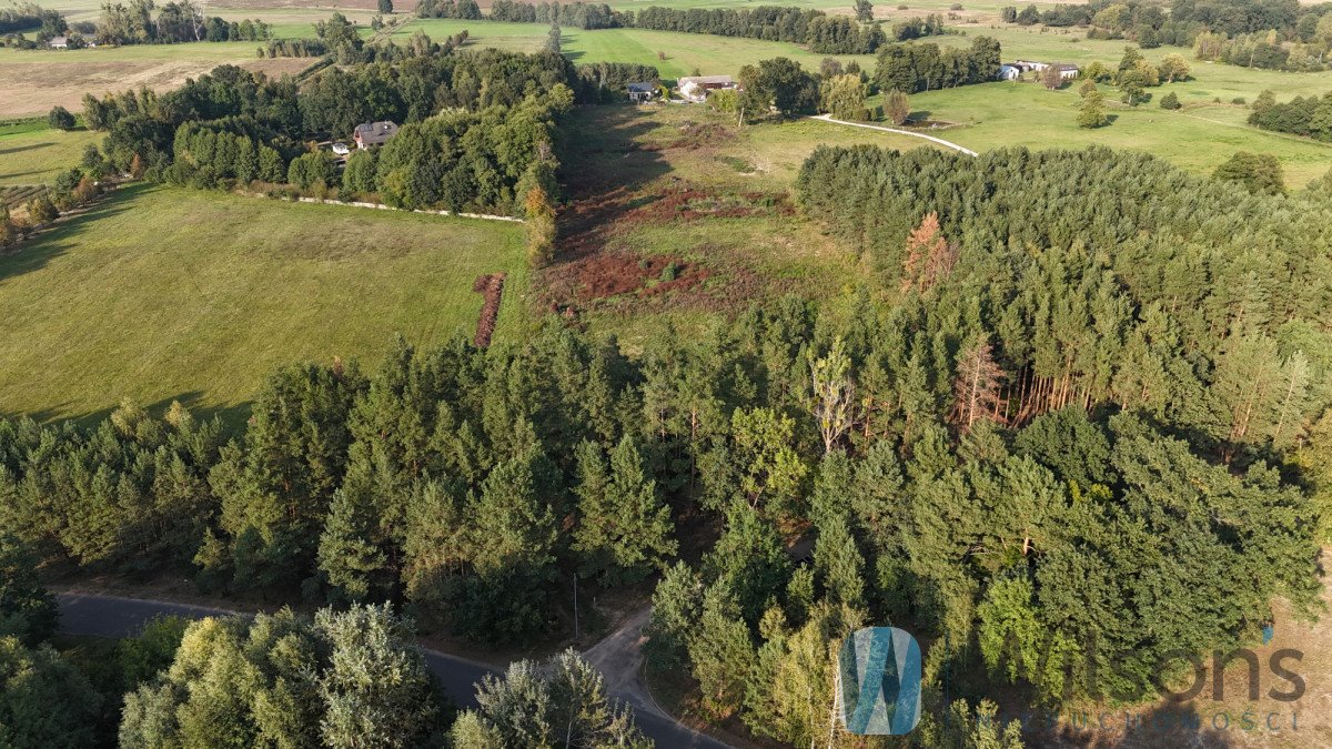 Działka budowlana na sprzedaż Bieliny  24 880m2 Foto 5