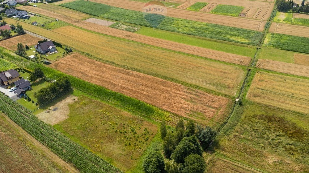 Działka rolna na sprzedaż Wieprz, Beskidzka  6 134m2 Foto 5