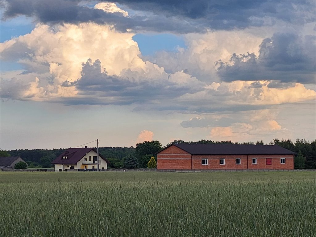 Lokal użytkowy na sprzedaż STRZELCE WIELKIE, STRZELCE WIELKIE  500m2 Foto 6