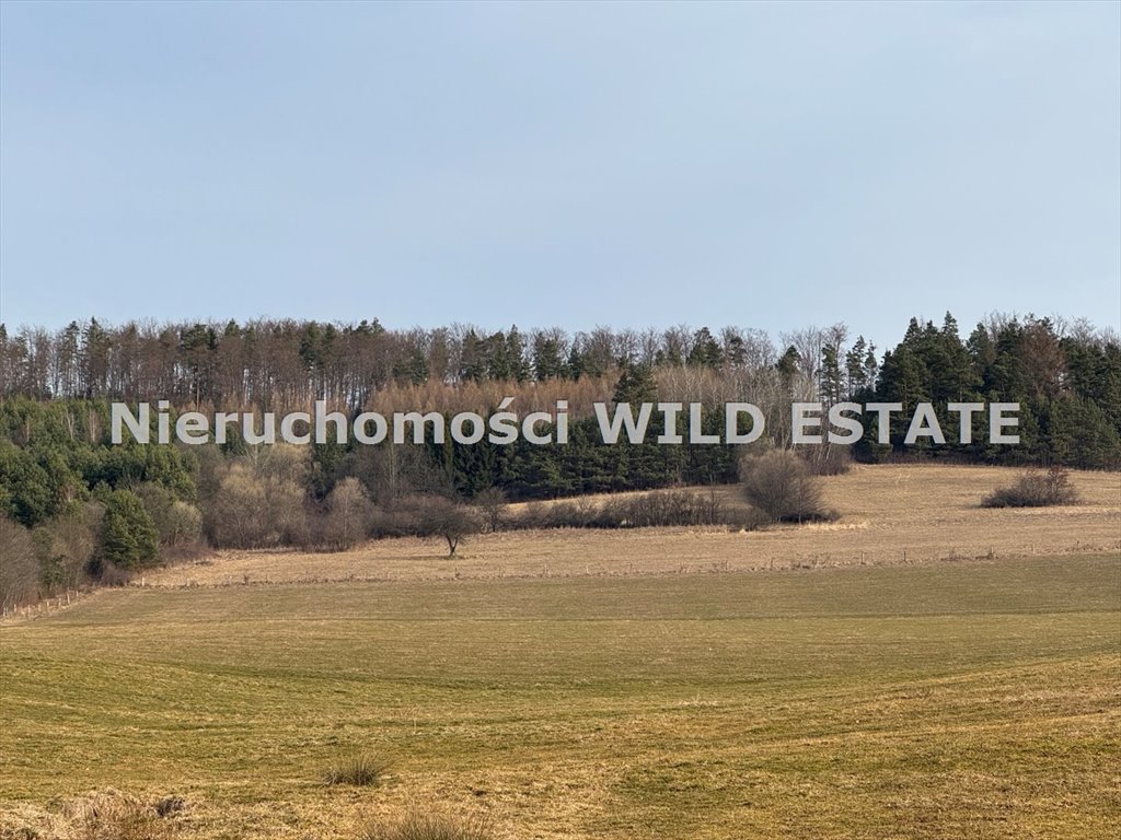 Działka rolna z lasem 1,0759 ha, dostęp do drogi Lesko, Hoczew  10 759m2 Foto 1