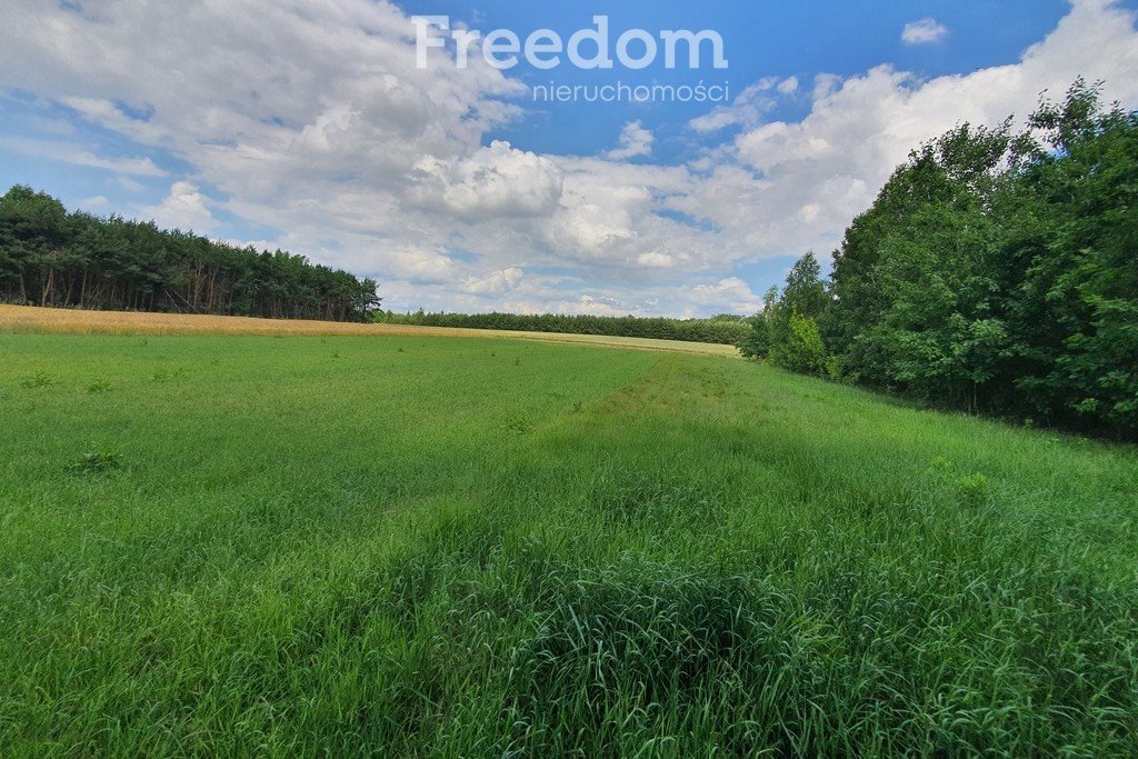 Działka inna na sprzedaż Kruszyna  25 167m2 Foto 4