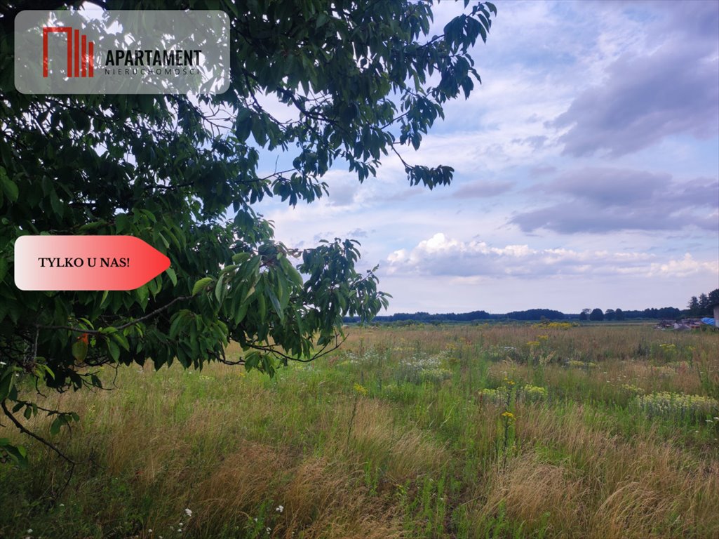 Działka budowlana na sprzedaż Małe Rudy, Spokojna  2 641m2 Foto 1