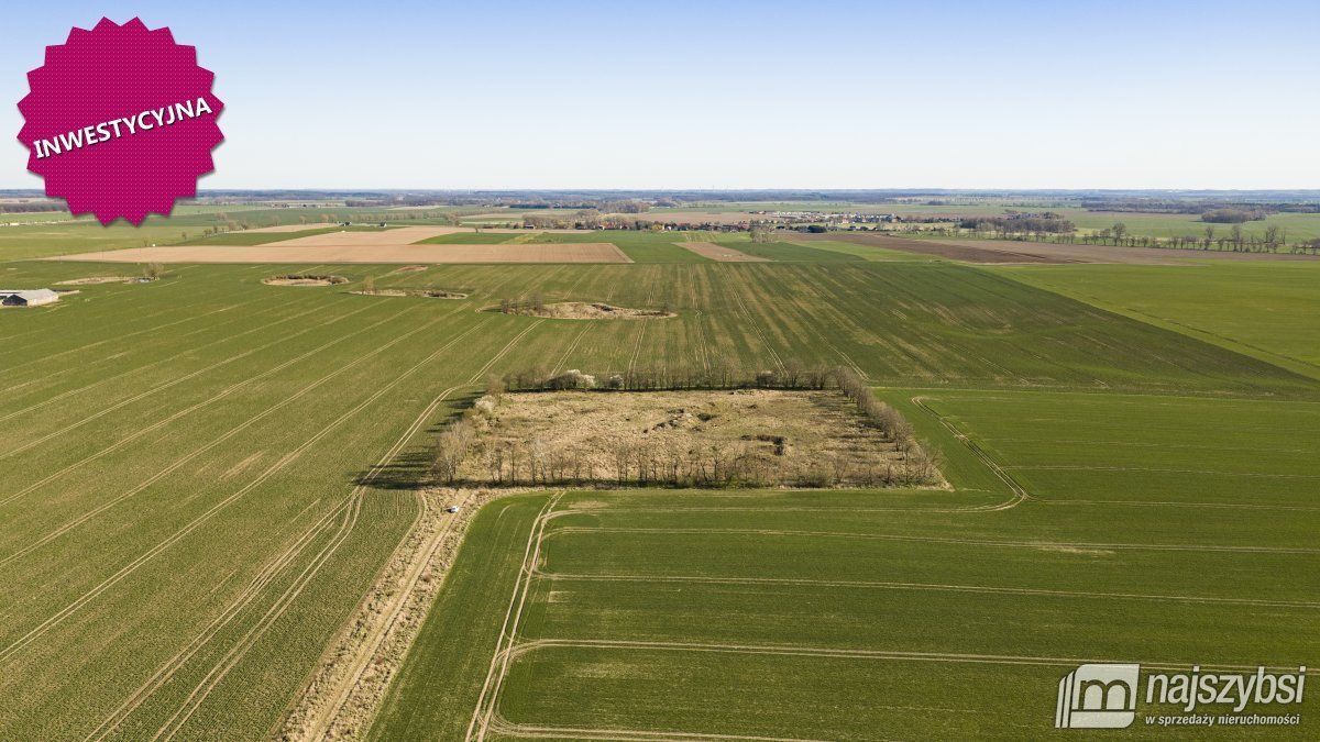 Zapraszam do zakupu działki 2,48ha z wydanymi warunkami zabudowy: WITKOWO PIERWSZE