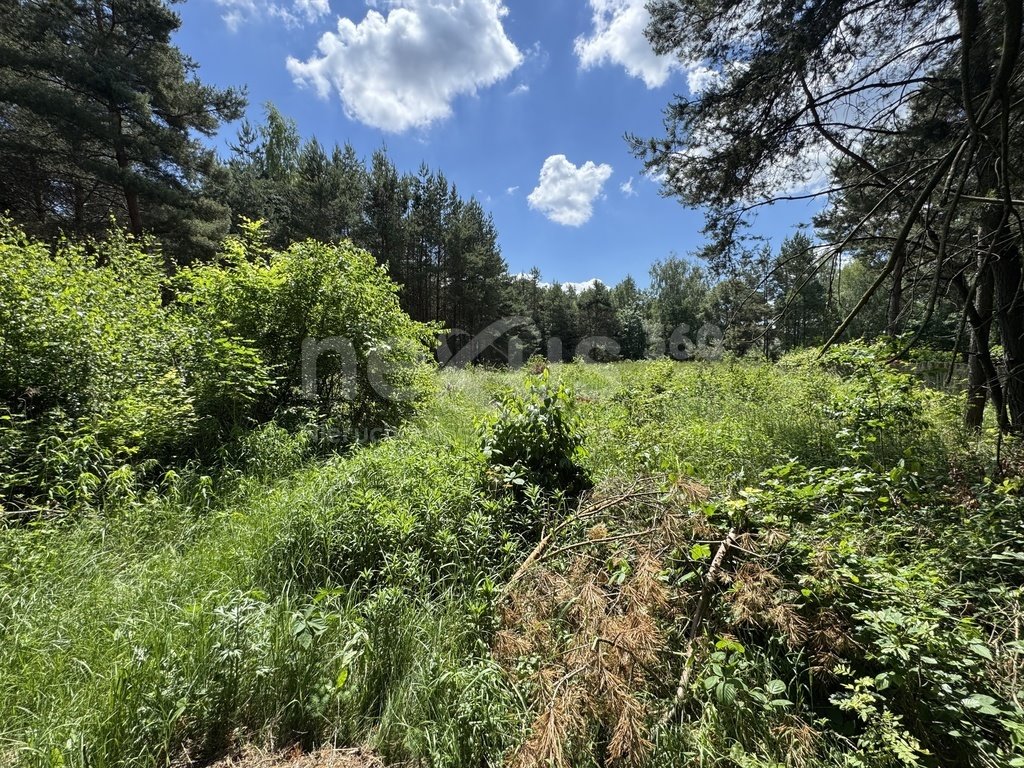 Działka 3000m² z warunkami zabudowy, las, dostęp do drogi Gola Wielka  3 000m2 Foto 1