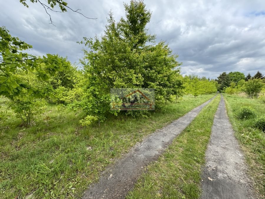 Działka budowlana na sprzedaż Kruszew  1 000m2 Foto 7