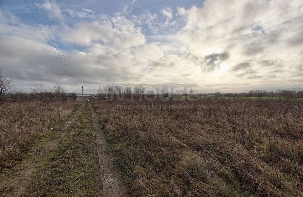 Działka rolna na sprzedaż Wąwelnica  1 191m2 Foto 8