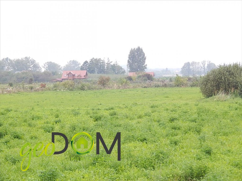 Działka rolna na sprzedaż Horodyszcze-Kolonia  11 293m2 Foto 4