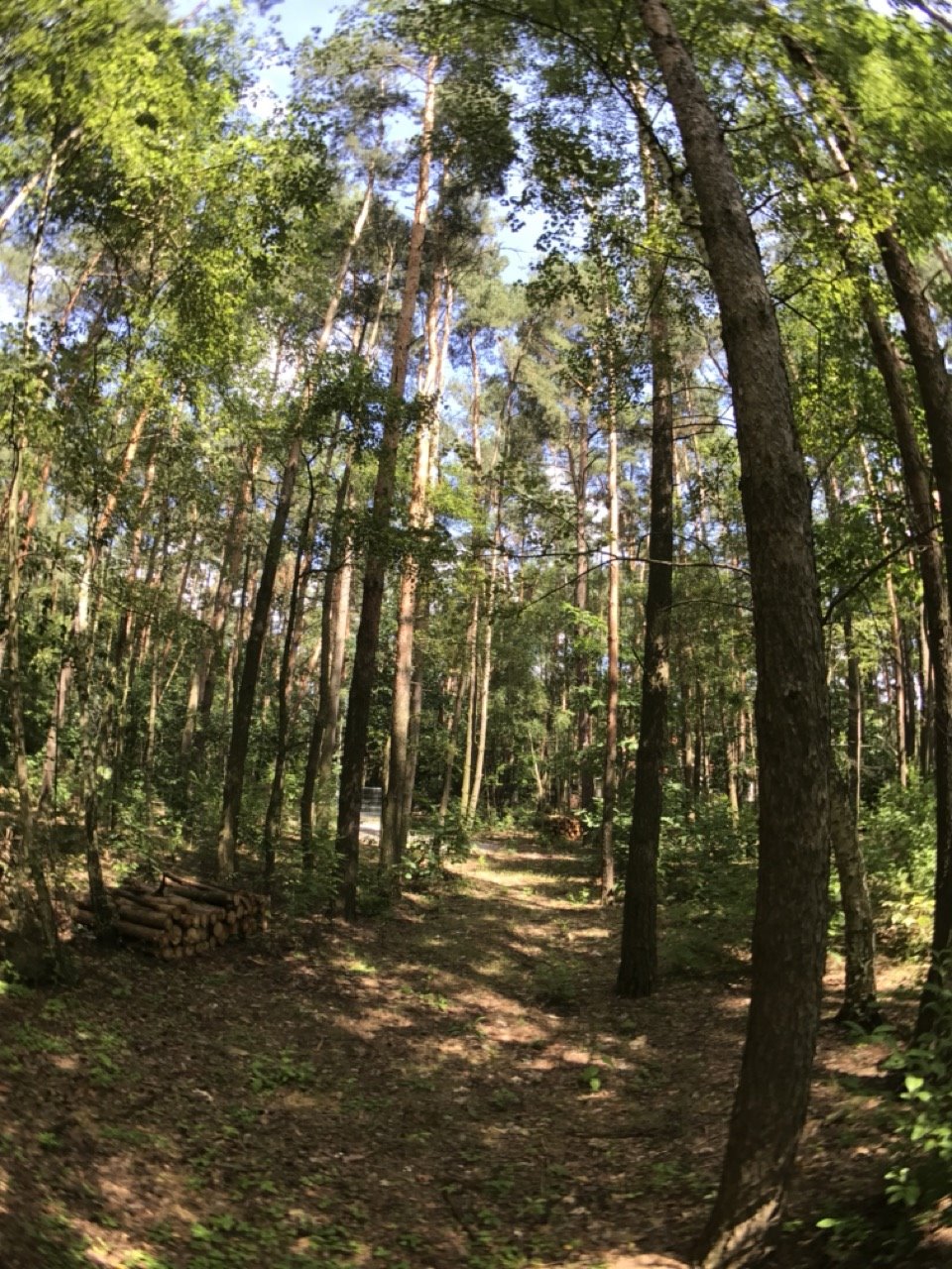 Działka z lasem i planem pod dom jednorodzinny, 1657 m² Konstancin-Jeziorna, Konstancin-Jeziorna  1 657m2 Foto 1