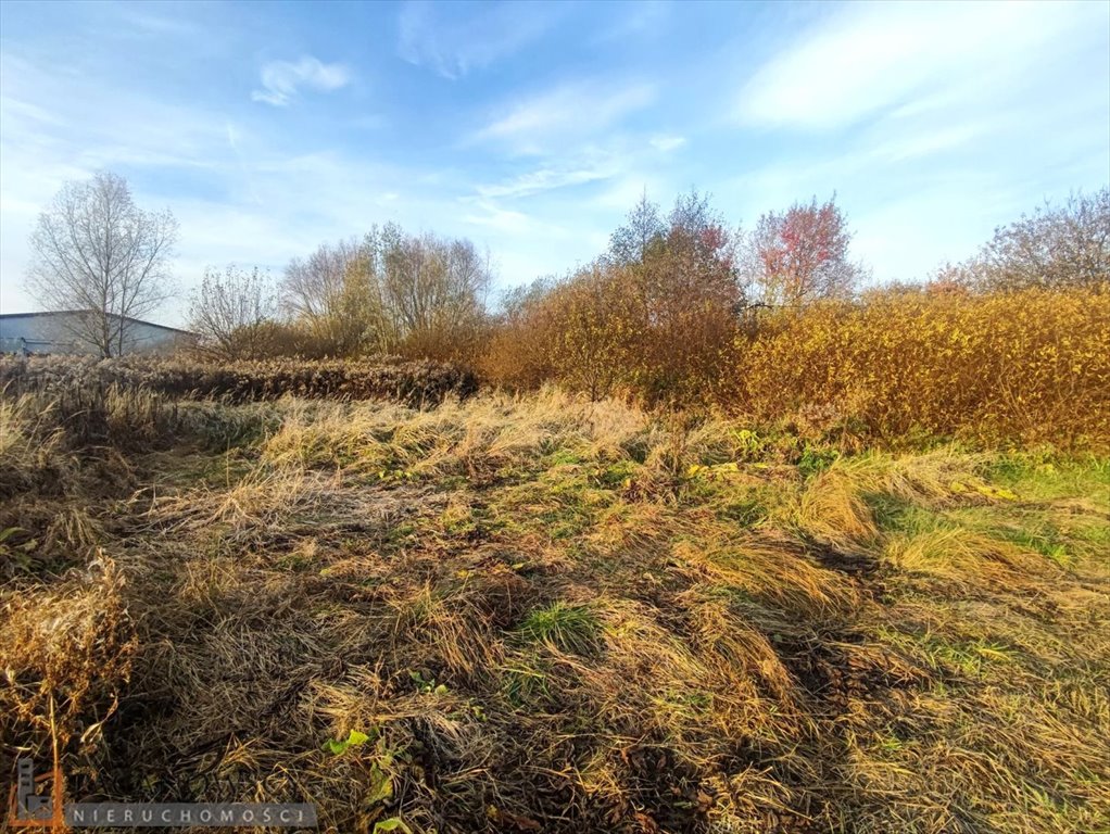 Działka budowlana na sprzedaż Bosutów  3 100m2 Foto 3