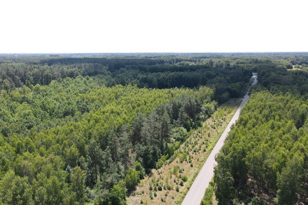 Działka budowlana na sprzedaż Gręzówka-Kolonia  1 000m2 Foto 3