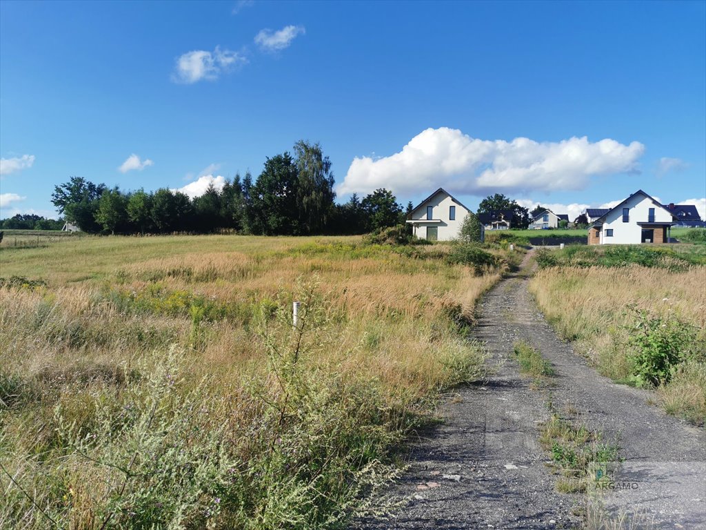 Działka budowlana na sprzedaż Wodzisław Śląski  990m2 Foto 9