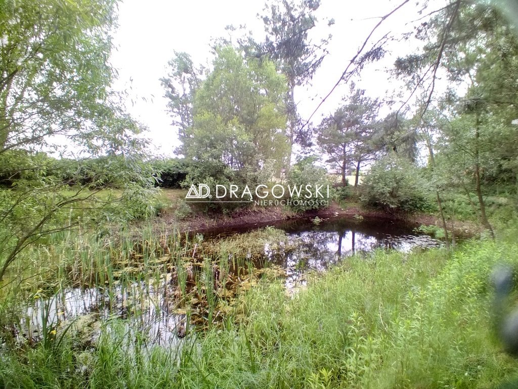 Działka rolna na sprzedaż Kraszewo-Gaczułty  5 100m2 Foto 1