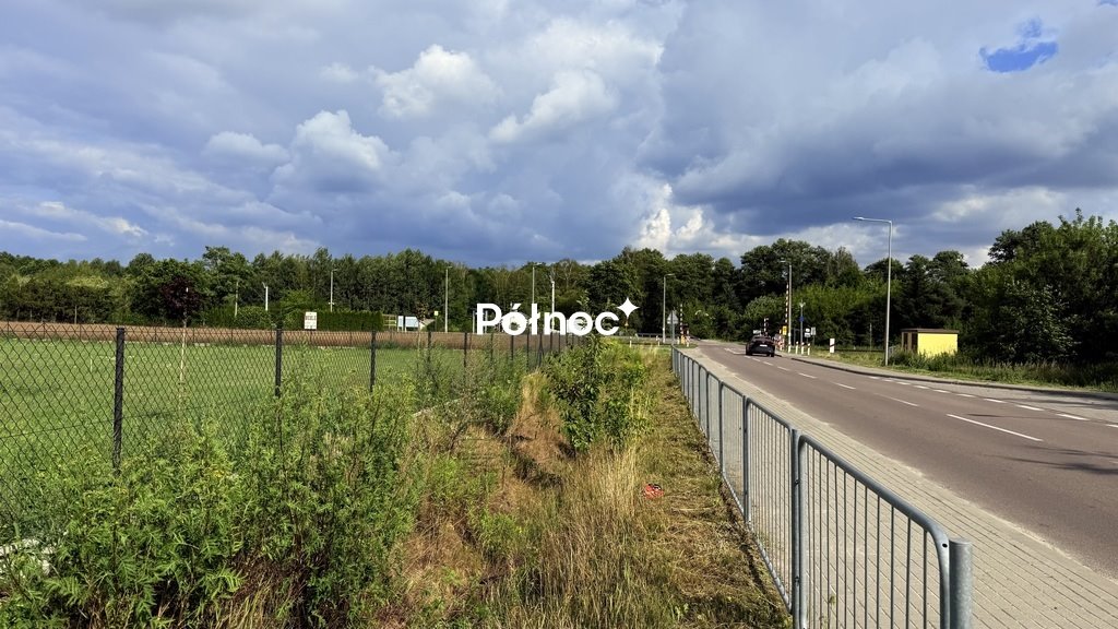 Zdjęcie 5