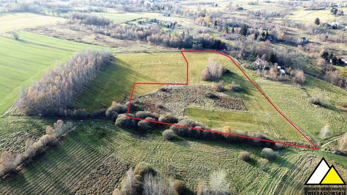 Działka budowlana na sprzedaż Wolimierz  6 000m2 Foto 3