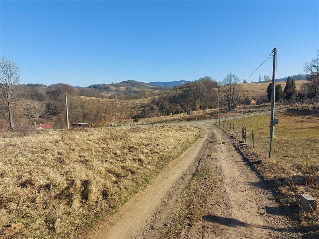 Działka inna na sprzedaż Walim, Niedźwiedzica  1 979m2 Foto 3