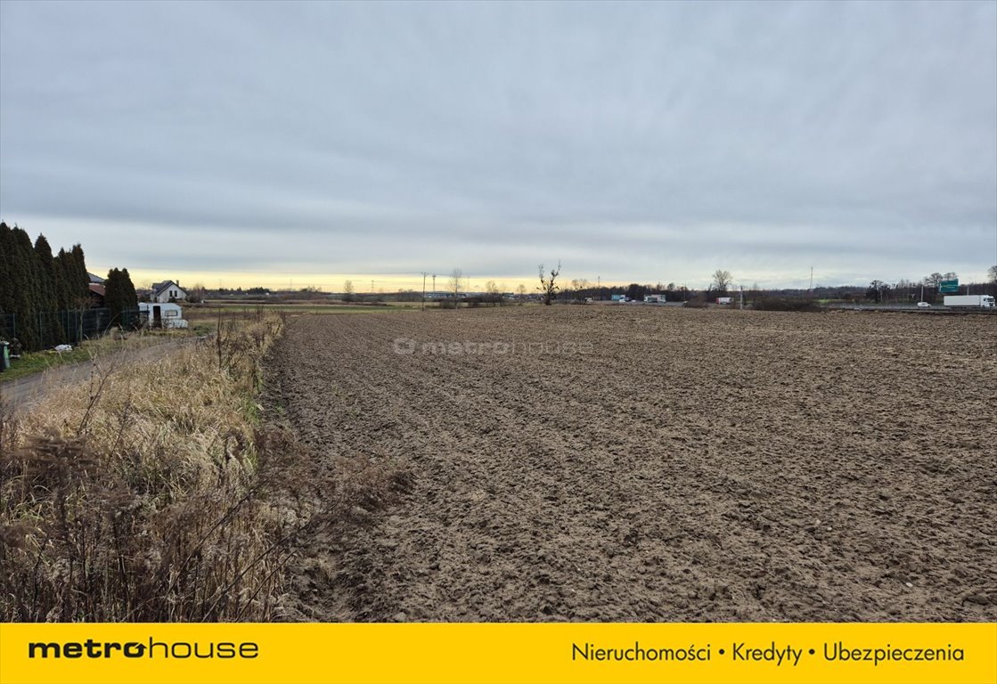 Działka budowlana na sprzedaż Malin  20 500m2 Foto 4