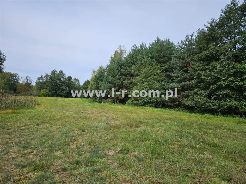 Działka leśna na sprzedaż Sumina, Dworcowa  6 820m2 Foto 3