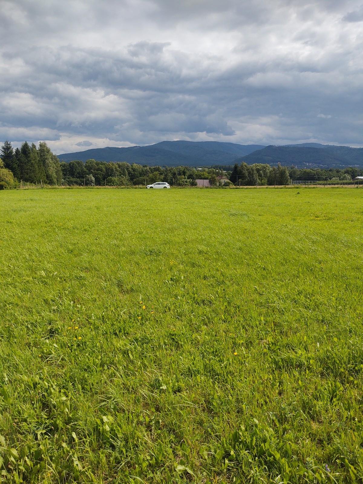 Działka budowlana na sprzedaż Międzyrzecze Górne  1 175m2 Foto 13