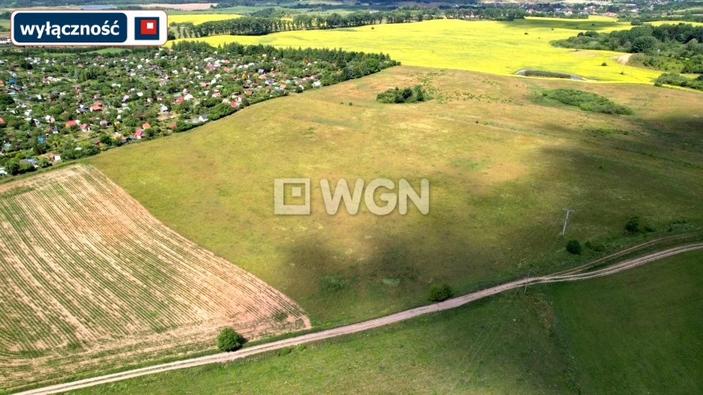 Działka budowlana na sprzedaż Konieczki  1 300m2 Foto 6