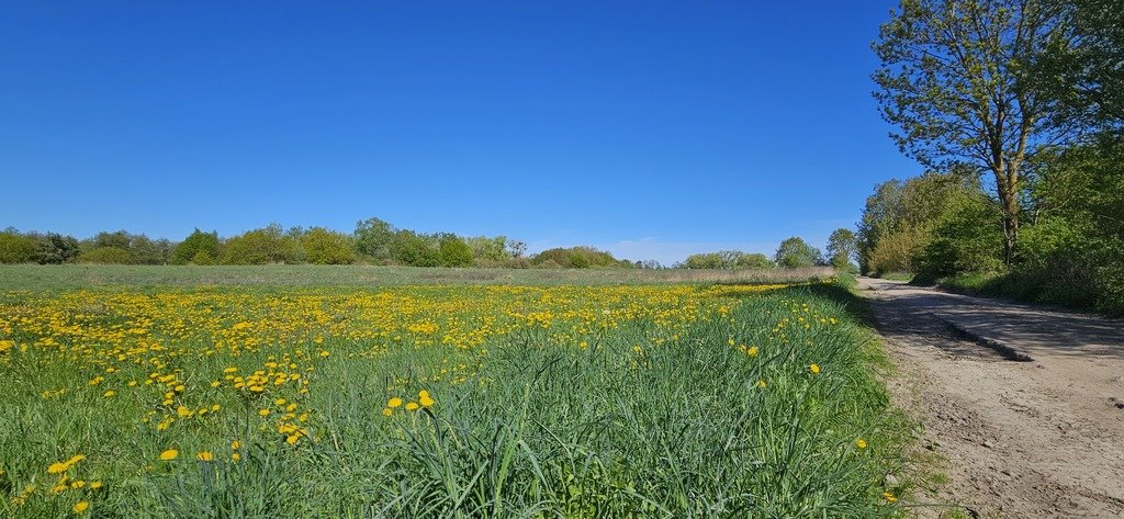 Działka inna na sprzedaż Szczecin, Skolwin  832m2 Foto 1