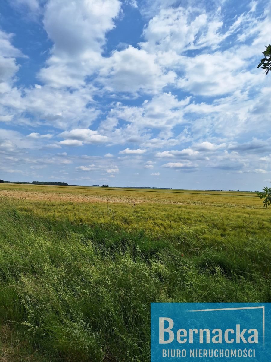 Działka budowlana na sprzedaż Rakoszyce  1 500m2 Foto 1