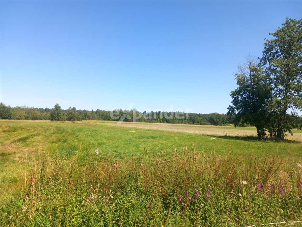 Działka 1,63ha w Likcu z mediami, lasem i jeziorem Likiec  16 300m2 Foto 1