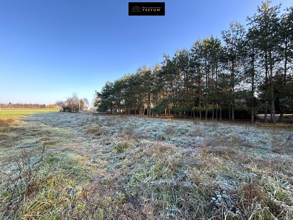 Dom na sprzedaż Siedleczko  80m2 Foto 4