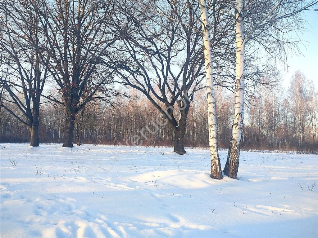 Działka 1370 m² w Milanówku – idealne miejsce na wymarzony dom Milanówek  1 370m2 Foto 1