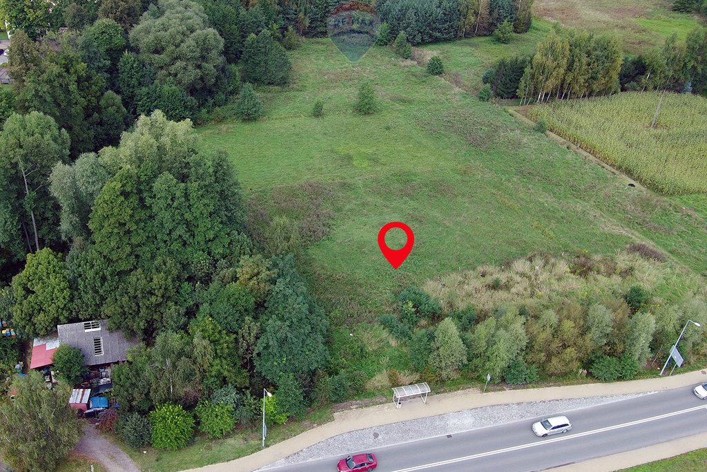 Działka budowlana na sprzedaż Dankowice  3 199m2 Foto 17