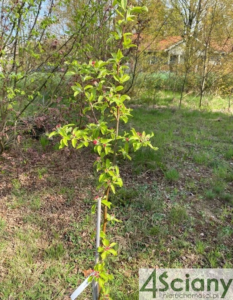 Działka budowlana na sprzedaż Milanówek  1 353m2 Foto 4