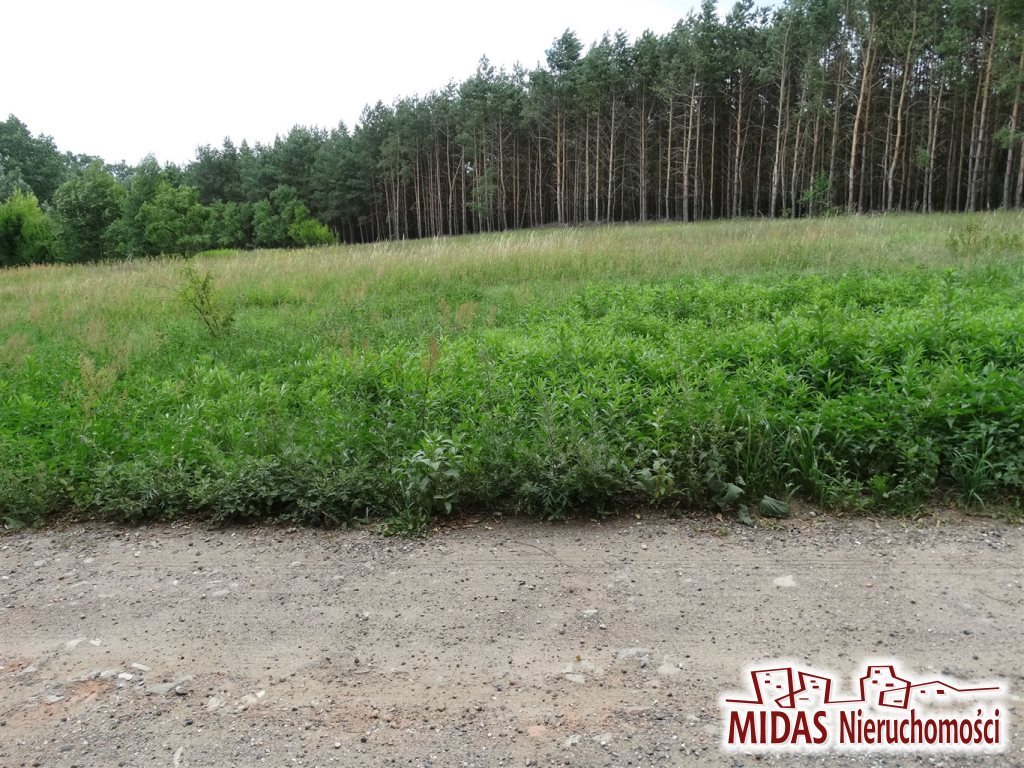 Działka inna na sprzedaż Roźno 1 118m2 Foto 1 Działka inna na sprzedaż Roźno 1 118m2 Foto 1