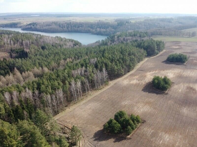 Działka rekreacyjna na sprzedaż Stare Juchy, Stare Juchy  3 000m2 Foto 14