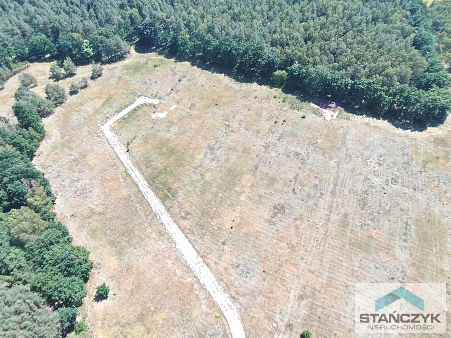 Działka budowlana na sprzedaż Stepnica  3 000m2 Foto 5