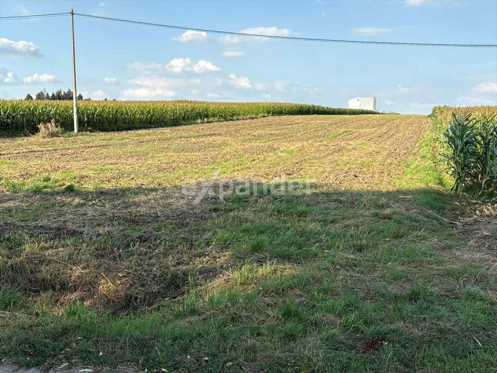 Działka gospodarstwo rolne na sprzedaż Trojanów  11 900m2 Foto 1