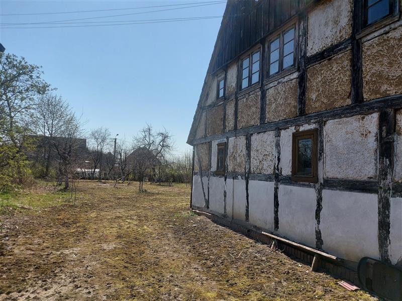 Zdjęcie 5