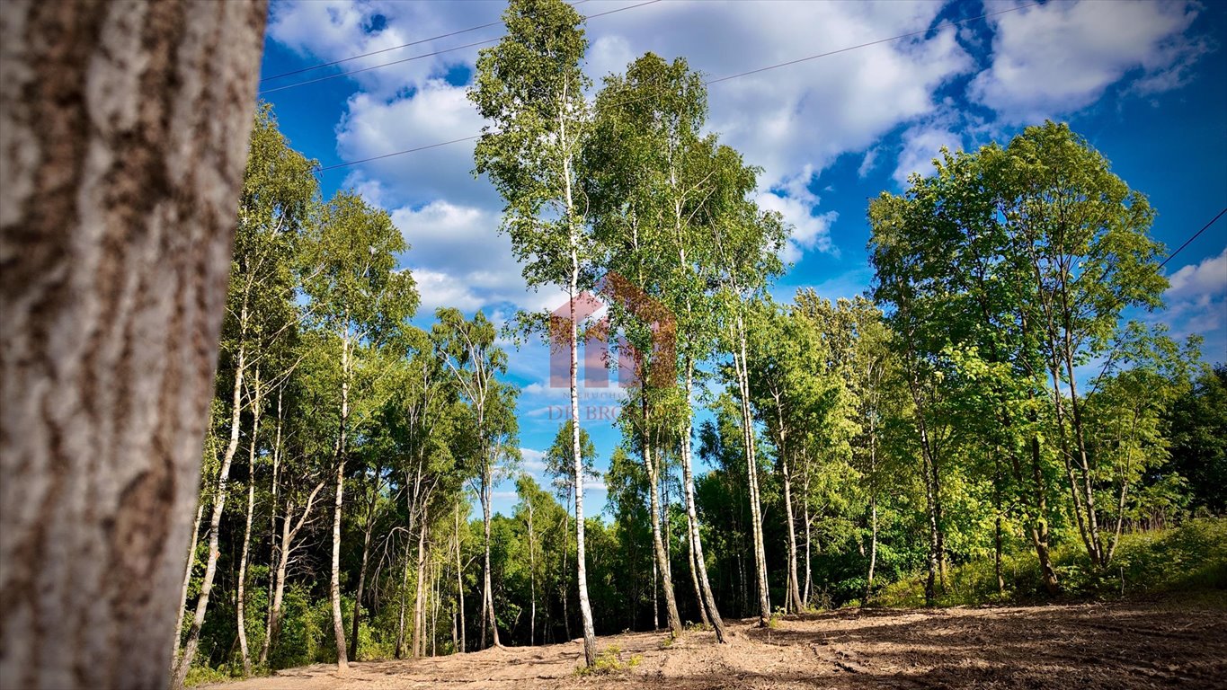 Działka budowlana na sprzedaż Malawa  2 000m2 Foto 1