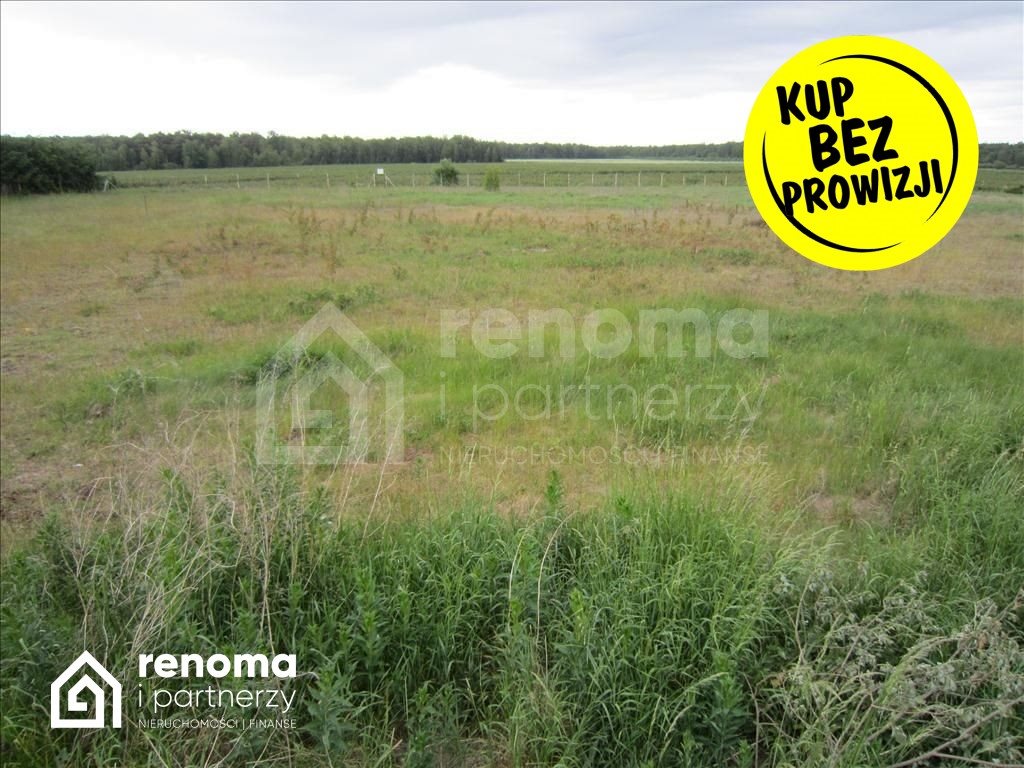 Działka budowlana na sprzedaż Kędzierzyn  17 660m2 Foto 1