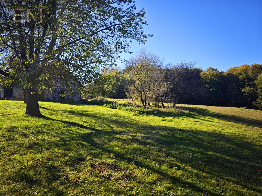 Działka rekreacyjna na sprzedaż Różanka  7 000m2 Foto 3