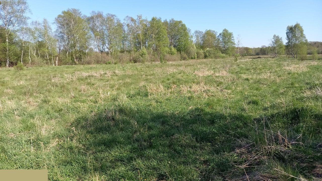 Działka rolna na sprzedaż Choczewo  600m2 Foto 9