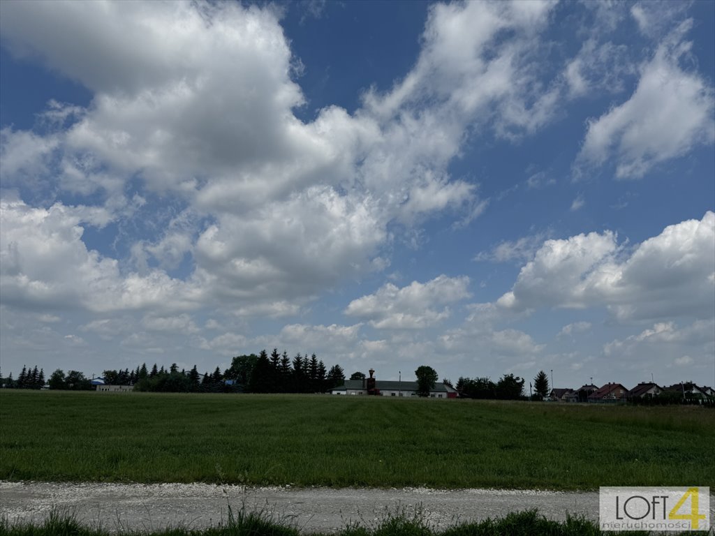 Działka budowlana na sprzedaż Borzęcin  2 600m2 Foto 14