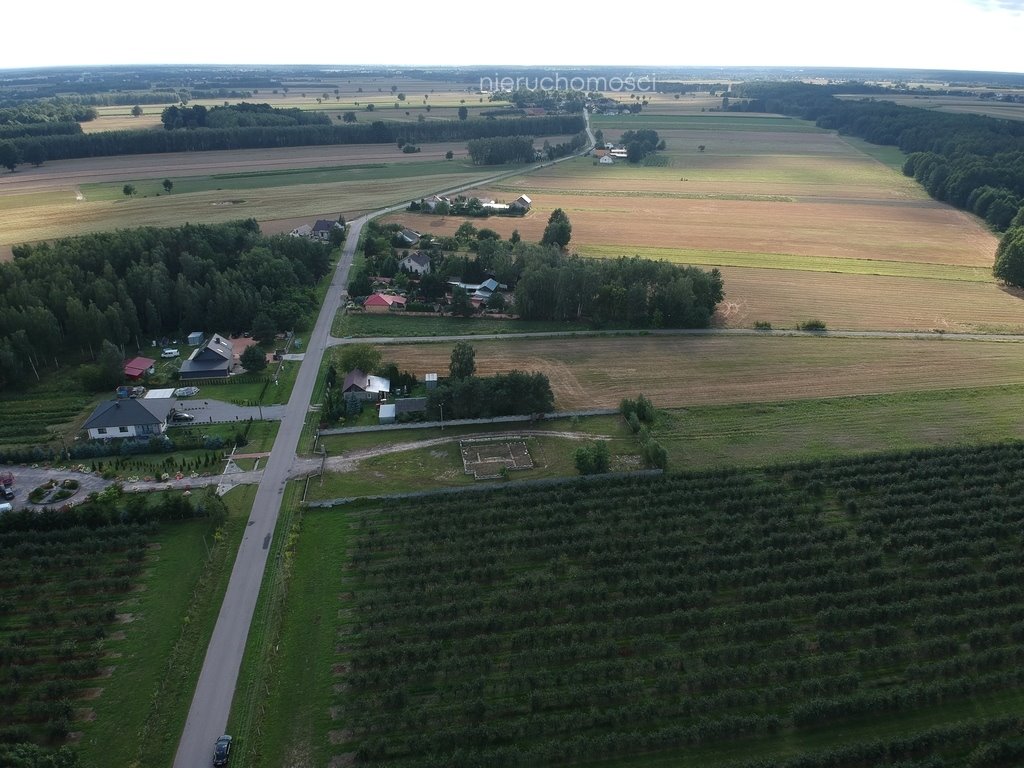 Działka inna na sprzedaż Filipinów  3 000m2 Foto 16