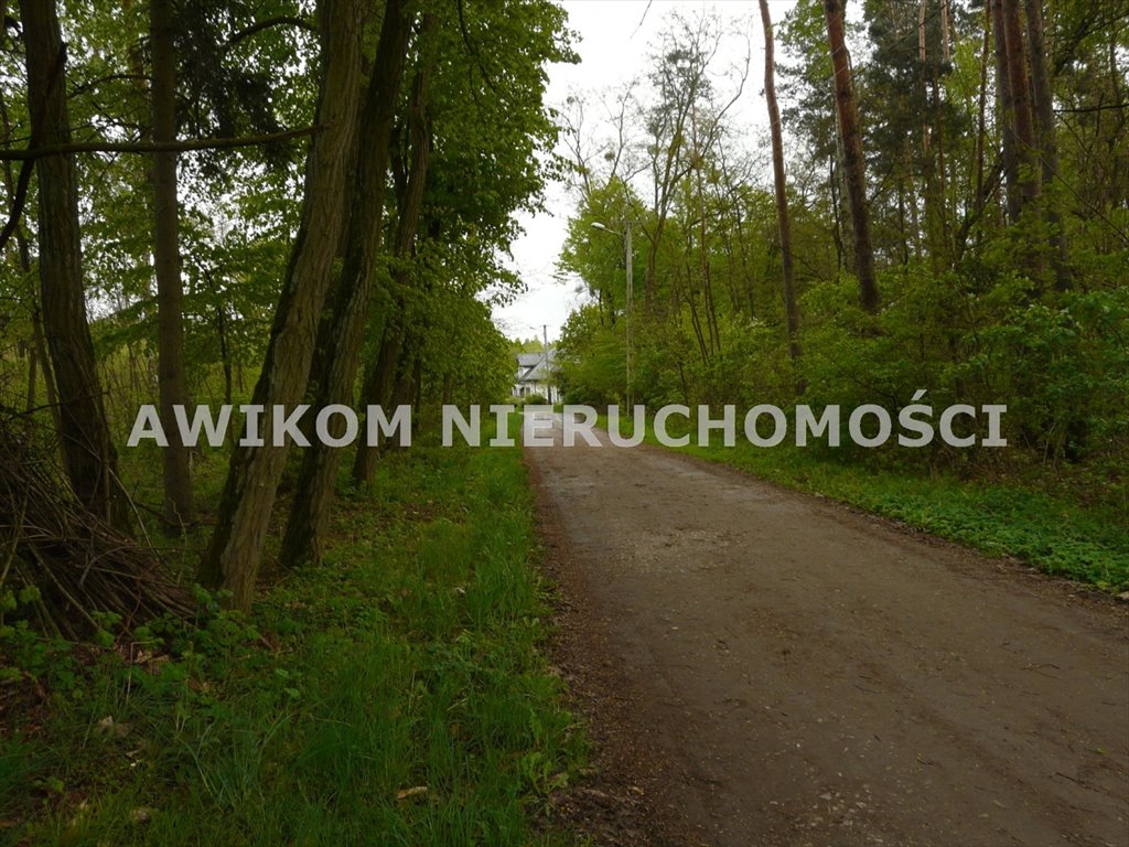 Działka leśna z możliwością zabudowy, 3179 m², spokojna okolica Joachimów-Mogiły  3 179m2 Foto 1