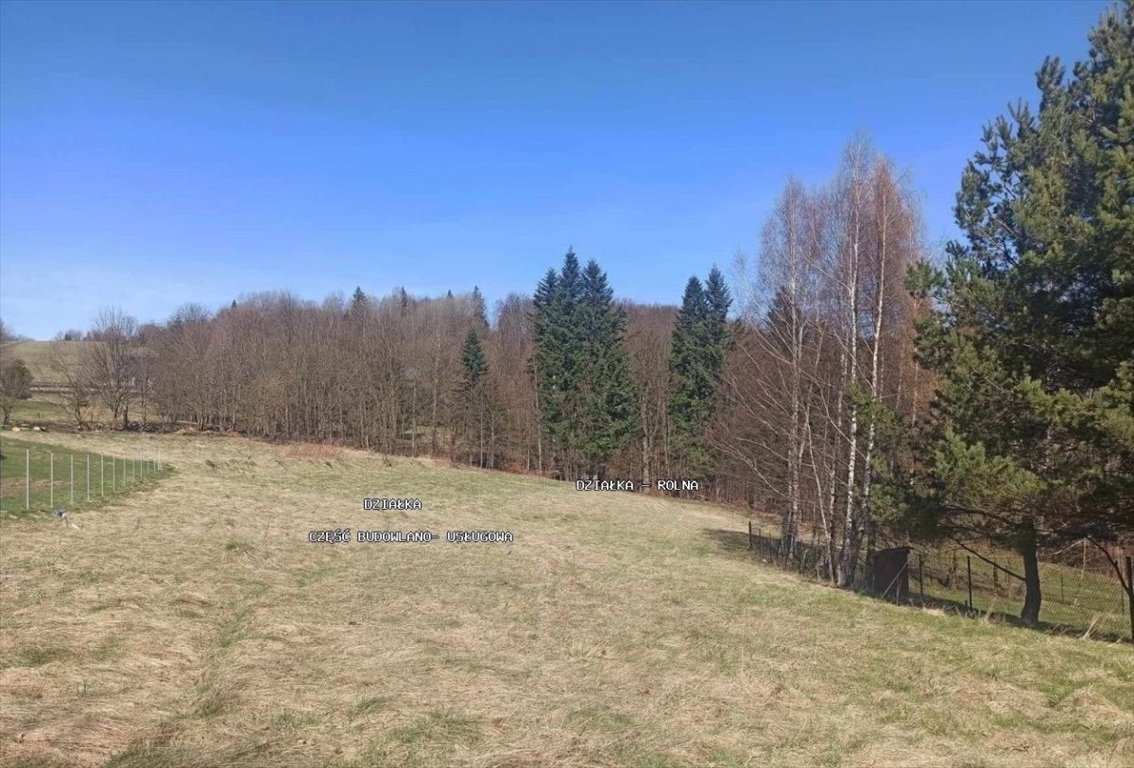 Działka budowlana na sprzedaż Laliki  3 347m2 Foto 2