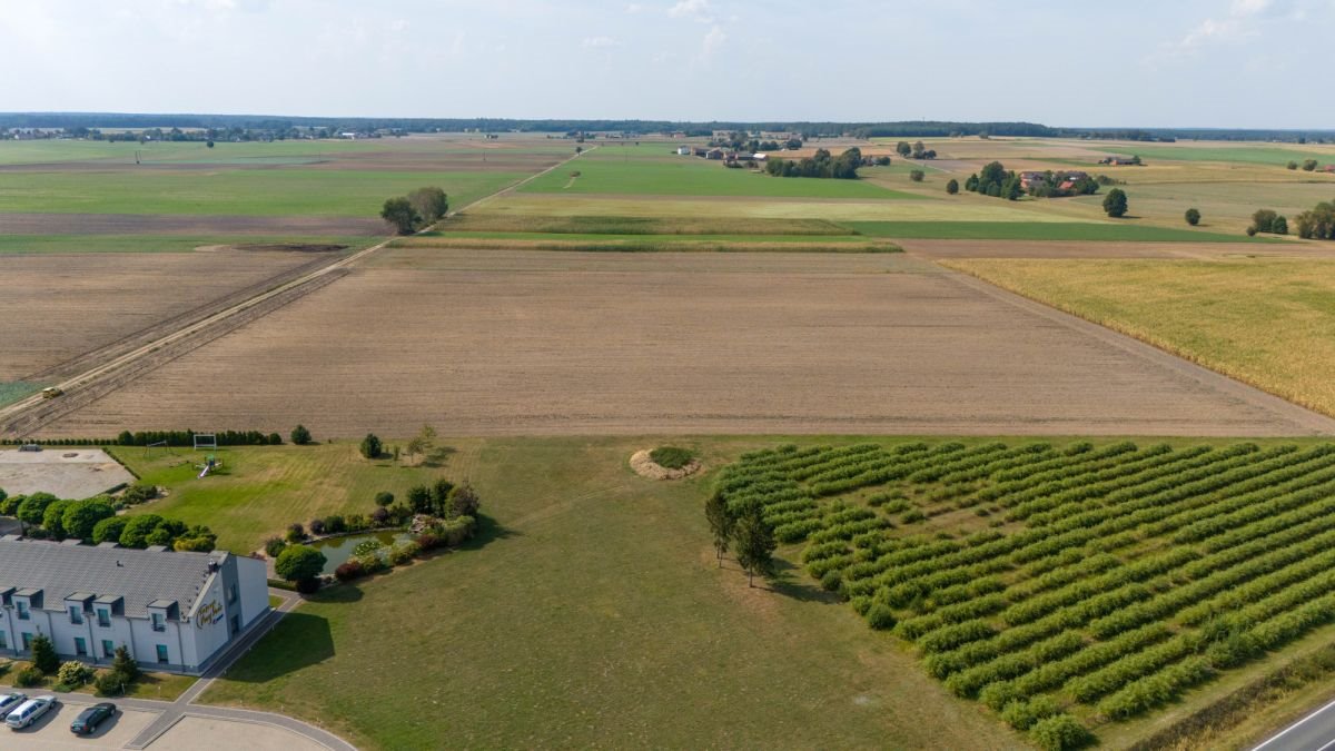 Działka przemysłowo-handlowa na sprzedaż Ciasna, Nowy Dwór  5 093m2 Foto 11