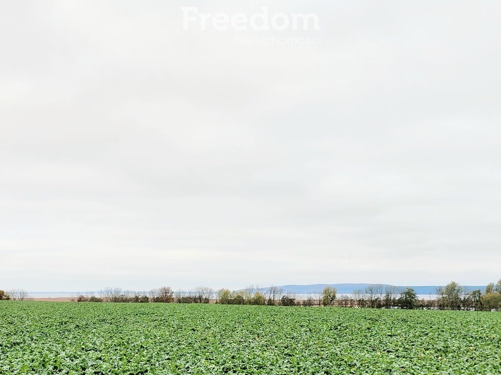 Działka budowlana na sprzedaż Zagórze  1 500m2 Foto 10